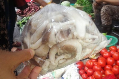 Nấm ăn “3 không” mua theo ... niềm tin